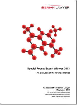  Expert Witness e-report 2013