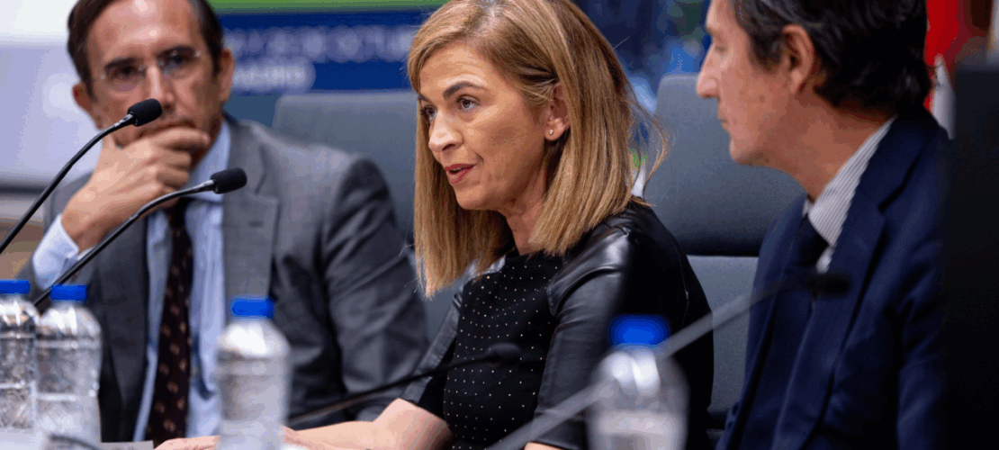  The Ibero-American legal profession: A strategic pillar for shared prosperity
