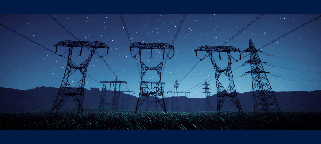 The blackout that laid bare the system