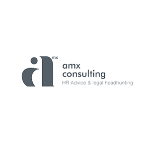 AMX Consulting
