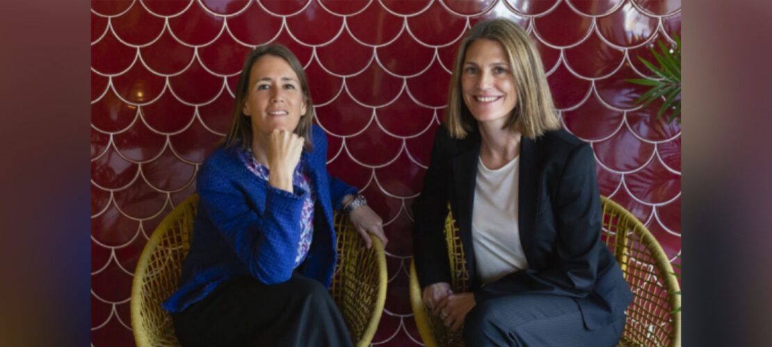  The Lawyers for projects model