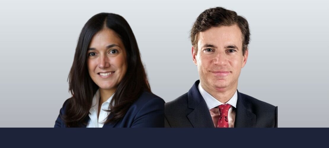 MEAG acquires 50% stake in Culmia’s housing portfolio: advisors